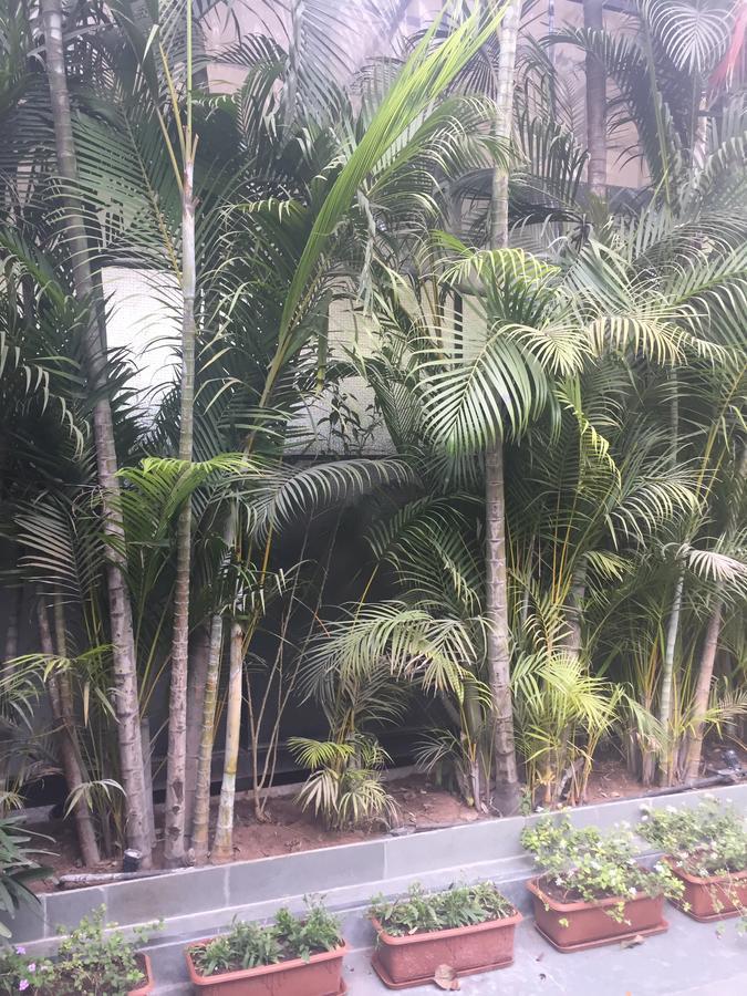 Cozy * Pune